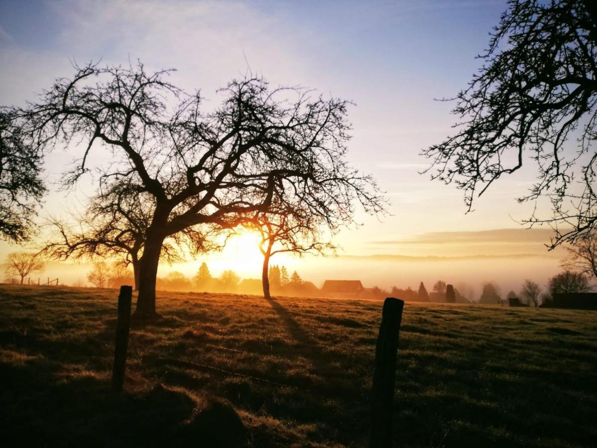 Ferienwohnung Gemütliches Fachwerk im Oberbergischen Wiehl Exterior foto